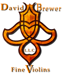 iolins Fine L.L.C. V David  Brewer