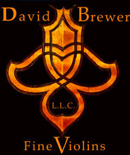 iolins Fine L.L.C. V David  Brewer